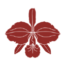cattleyawines.com