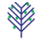 lime-tree.ca