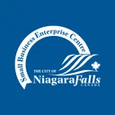 niagarafallsbusiness.ca