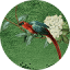 castlebirdhome.com