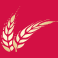 goldengrainpasta.com