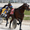 dresden-raceway.ca