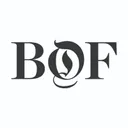 businessoffashion.com