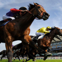 horseracinglivetv.com