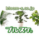 bloom-s.co.jp