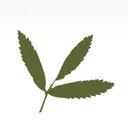 rowan-consultancy.co.uk