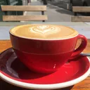thestraybean.com