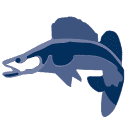fishing-adventure.com