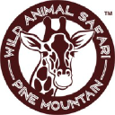 animal-safari.com