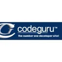 codeguru.com