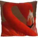 scarlet-bloom.com