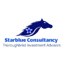 starblueconsultancy.com