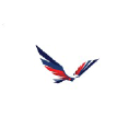 investmentaircraft.com