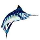 fishcostarica.com
