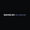 reactiongifs.com