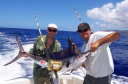 fishmaui.com