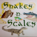 snakes-n-scales.com