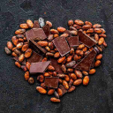 lechocolat.cz