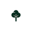 forestrybrief.com