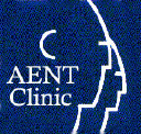austinent.com