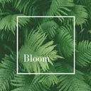 welovebloom.co