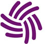 service.net