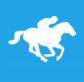 307horseracing.com