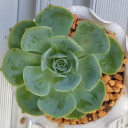 ceramics.com.ph