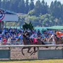 emeralddowns.com