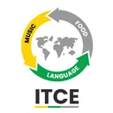 goitce.com