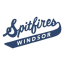 windsorspitfires.com