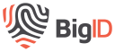 bigid.com