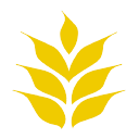graincraft.com