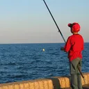 wjsoutdoors.com