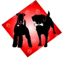 k9kibble.com