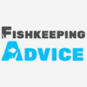 fishkeepingadvice.com