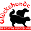 hundeschule-glueckshunde.de