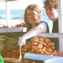 foodfuntravel.com