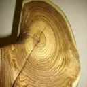 wood-workshop.com
