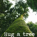 treecarenj.com