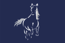 wiredmustang.com