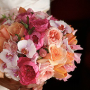fleurs-247.fr
