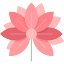 florist-abakan.ru