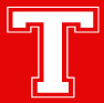 teamauctions.com