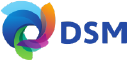 dsm.com