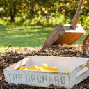 theorchardnq.com.au