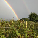 capecodwinery.com