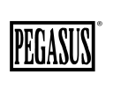 pegasus-glass.com