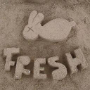 fresh-meat.ro
