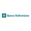 bolivariano.com